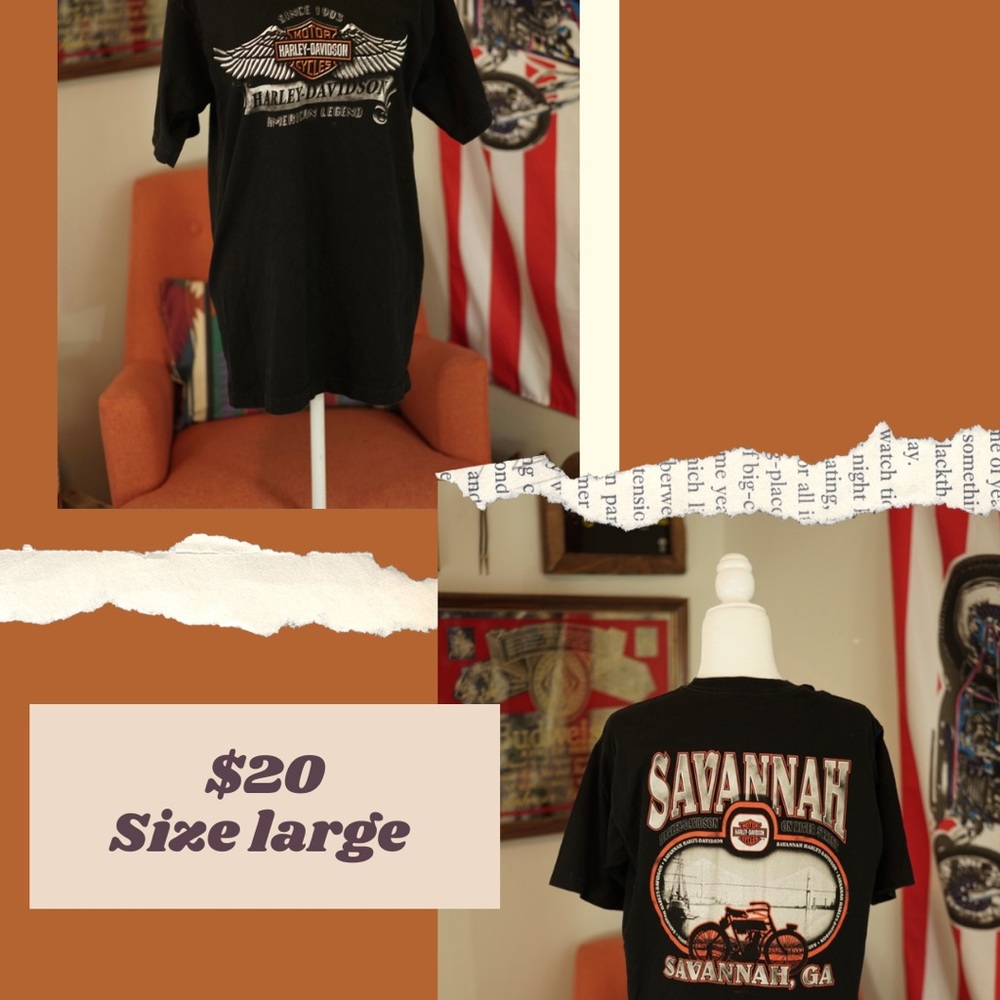 Harley Davidson Wings Tee Shirt